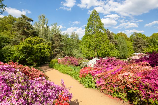 Living Near a Park will Cost you 70% More than the UK Average